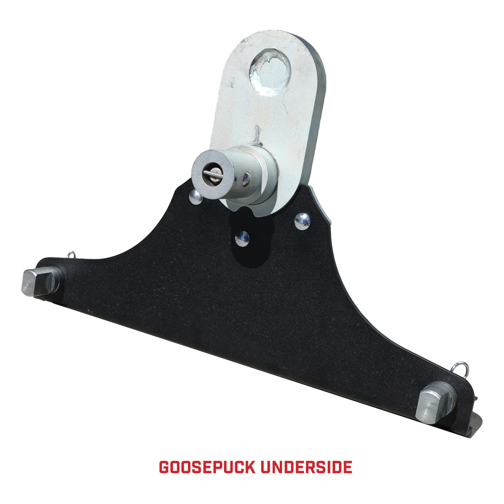 Gen-Y Goosepuck 5 Gen-Y Goosepuck 5