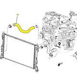 GM Lower Radiator Hose, 2020-2026 LM2/LZ0
