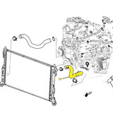 GM Upper Radiator Hose, 2020-2026 LM2/LZ0