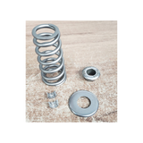 Manton Performance Valve Spring Kit, 2001-2022 LB7/LLY/LBZ/LMM/LML/L5P