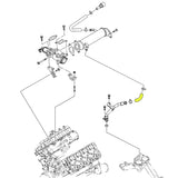 EGR Cooler to Thermostat Housing Hose, 2004.5-2005 LLY